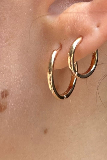 Hoops Earrings Set